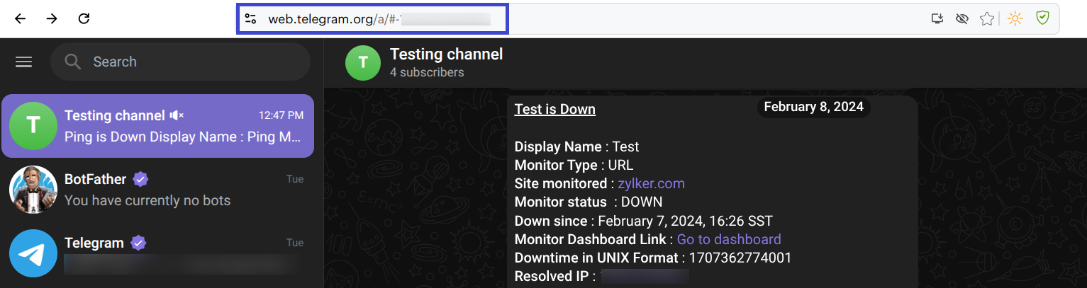Telegram channel URL